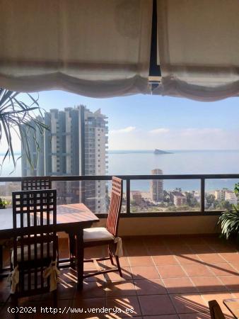 VENTA PISO AMPLIO EN BENIDORM EN COBLANCA - ALICANTE