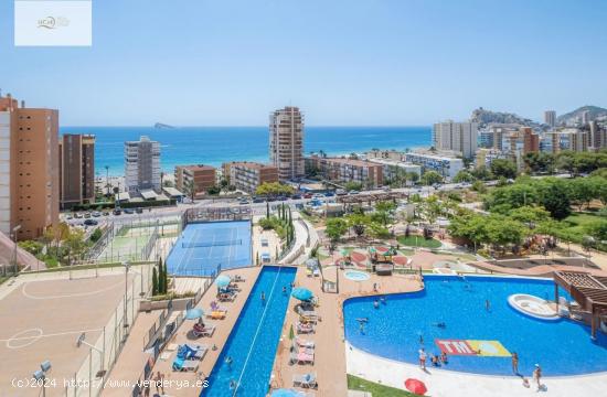 SE ALQUILA EL PISO EN SUNSET DRIVE CON VISTAS AL MAR EN PONIENTE, BENIDORM - ALICANTE