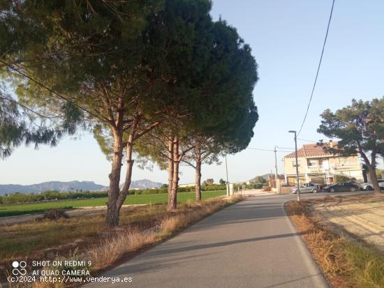  Parcela urbanizable en la huerta de Zeneta - MURCIA 