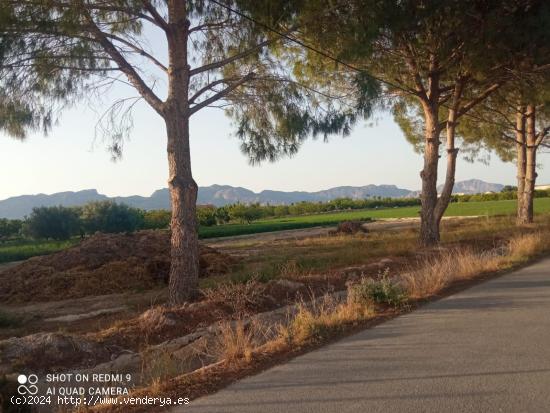 Parcela urbanizable en la huerta de Zeneta - MURCIA