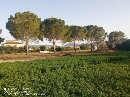 Parcela urbanizable en la huerta de Zeneta - MURCIA