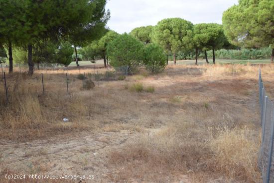  PARCELA DE 500 M2 EN LA MONACILLA - HUELVA 