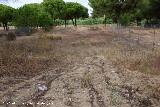 PARCELA DE 500 M2 EN LA MONACILLA - HUELVA