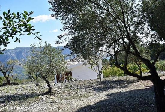 Finca rústica en venta en Benifato - Ideal para cultivo y relax - ALICANTE