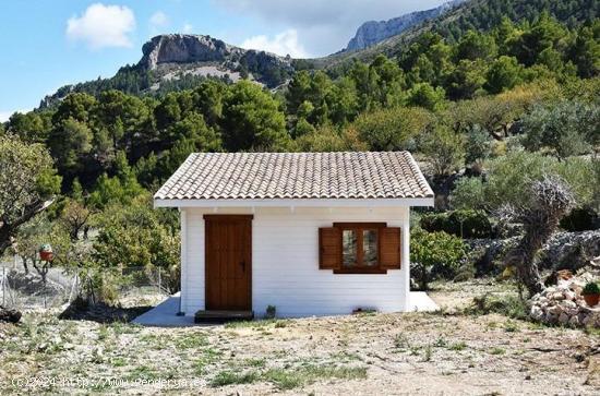 Finca rústica en venta en Benifato - Ideal para cultivo y relax - ALICANTE