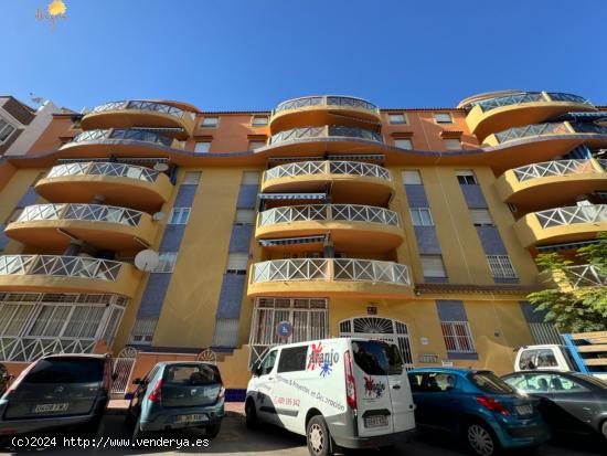 APARTAMIENTO EN TORREVIEJA DE 3 DORMITORIOS 1 BAÑO+ GARAJE - ALICANTE