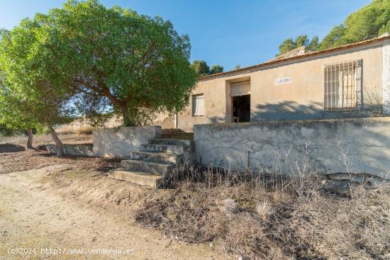 FINCA RUSTICA CON VIVIENDA PARA REHABILITAR EN PILAR DE LA HORADADA - ALICANTE