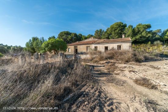 FINCA RUSTICA CON VIVIENDA PARA REHABILITAR EN PILAR DE LA HORADADA - ALICANTE