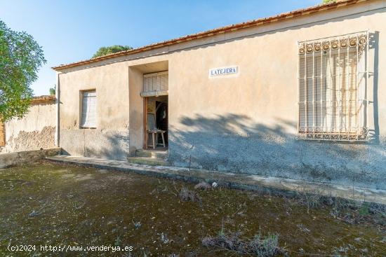 FINCA RUSTICA CON VIVIENDA PARA REHABILITAR EN PILAR DE LA HORADADA - ALICANTE