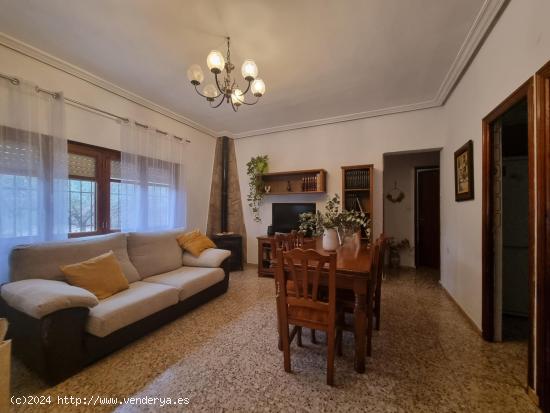 SE VENDE CASA DE CAMPO EN MONFORTE DEL CID (ALICANTE) - ALICANTE