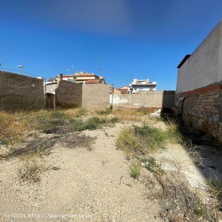 Terreno en La Alberca - MURCIA