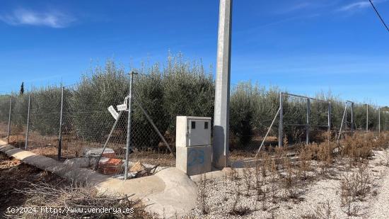 Terreno Rustico - MURCIA