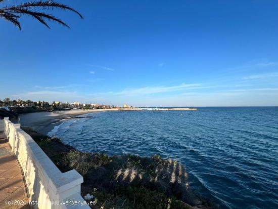 Planta baja en La Torre de la Horadada - ALICANTE