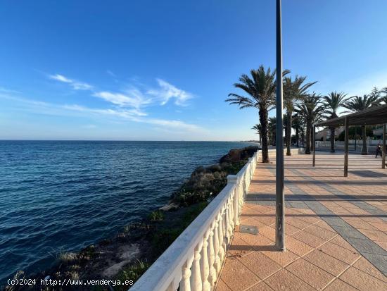 Planta baja en La Torre de la Horadada - ALICANTE