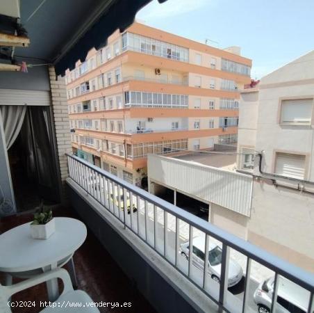 APARTAMENTO EN TORREVIEJA-CENTRO - ALICANTE