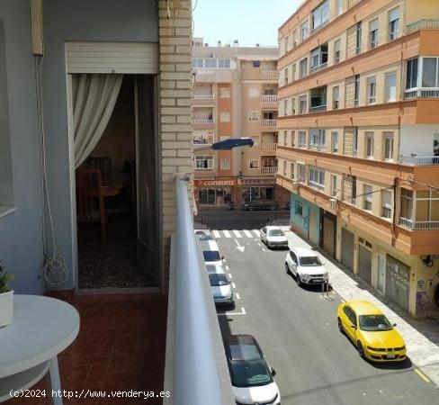 APARTAMENTO EN TORREVIEJA-CENTRO - ALICANTE