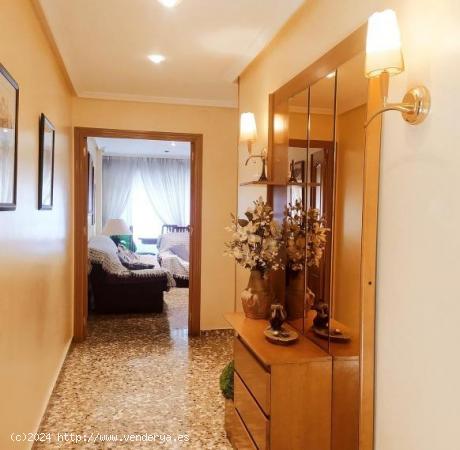 APARTAMENTO EN TORREVIEJA-CENTRO - ALICANTE