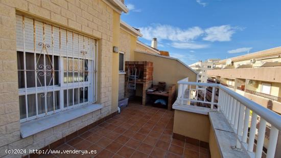 DESCUBRE TU PARAÍSO MEDITERRANEO EN TORREVIEJA - ALICANTE