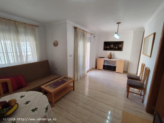 APARTAMENTO DE 2 HABITACIONES EN TORREVIEJA CON PISCINA COMUNITARIA - ALICANTE