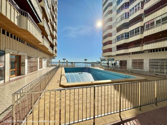 Apartamento en primera linea en Torrevieja con 3 dormitorios - ALICANTE