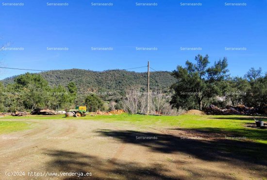 SE VENDE FINCA RÚSTICA EN VENTA EN JABUGO (HUELVA) ESPAÑA. - Jabugo