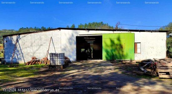 SE VENDE FINCA RÚSTICA EN VENTA EN JABUGO (HUELVA) ESPAÑA. - Jabugo