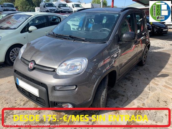 Fiat Panda City Life Hybrid 1.0 Gse 51kw 70CV - Collado Villalba