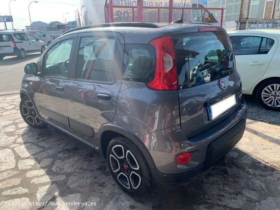 Fiat Panda City Life Hybrid 1.0 Gse 51kw 70CV - Collado Villalba