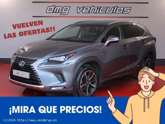 Lexus NX 2.5 300h Business Navigation 2WD 5p. 197Cv - Rubí