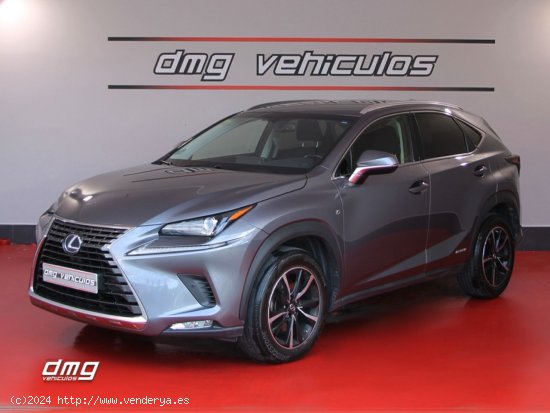 Lexus NX 2.5 300h Business Navigation 2WD 5p. 197Cv - Rubí