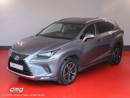 Lexus NX 2.5 300h Business Navigation 2WD 5p. 197Cv - Rubí