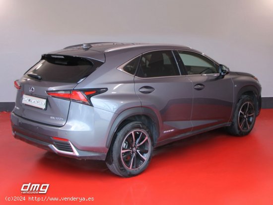 Lexus NX 2.5 300h Business Navigation 2WD 5p. 197Cv - Rubí