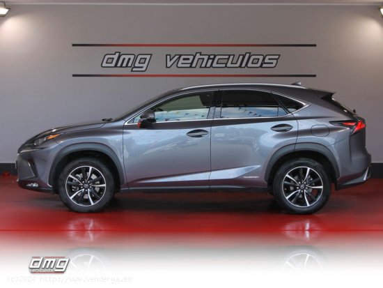 Lexus NX 2.5 300h Business Navigation 2WD 5p. 197Cv - Rubí