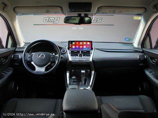 Lexus NX 2.5 300h Business Navigation 2WD 5p. 197Cv - Rubí