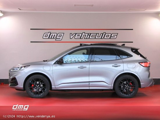 Ford Kuga STLine X 2.5 Duratec PHEV 165kW Auto 5p. - Rubí