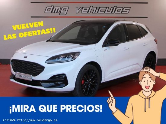  Ford Kuga STLine X 2.5 Duratec PHEV 165kW Auto 5p. - Rubí 