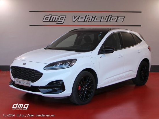 Ford Kuga STLine X 2.5 Duratec PHEV 165kW Auto 5p. - Rubí