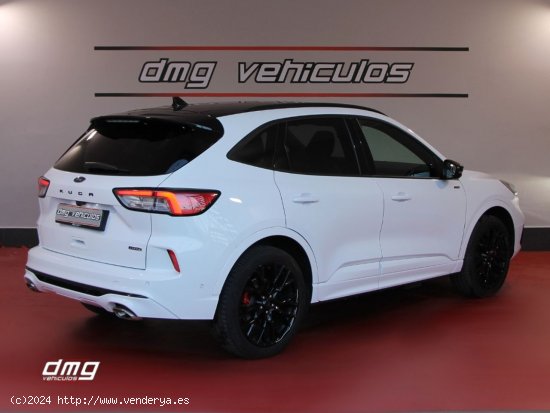 Ford Kuga STLine X 2.5 Duratec PHEV 165kW Auto 5p. - Rubí