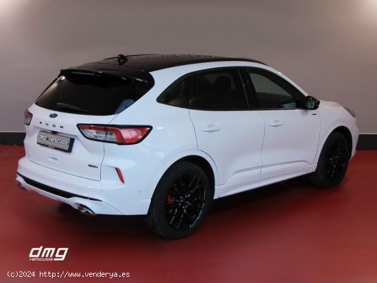 Ford Kuga STLine X 2.5 Duratec PHEV 165kW Auto 5p. - Rubí