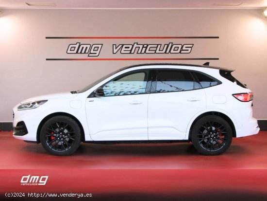 Ford Kuga STLine X 2.5 Duratec PHEV 165kW Auto 5p. - Rubí