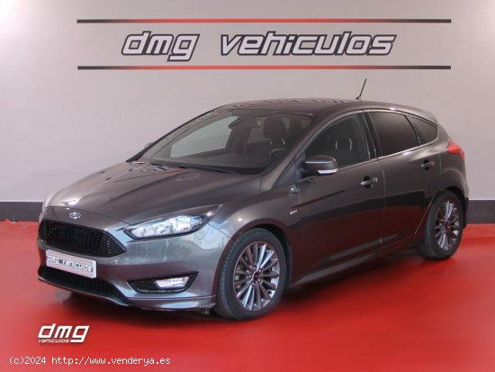 Ford Focus 1.0 Ecoboost SS 92kW 125CV STLine 5p. - Rubí