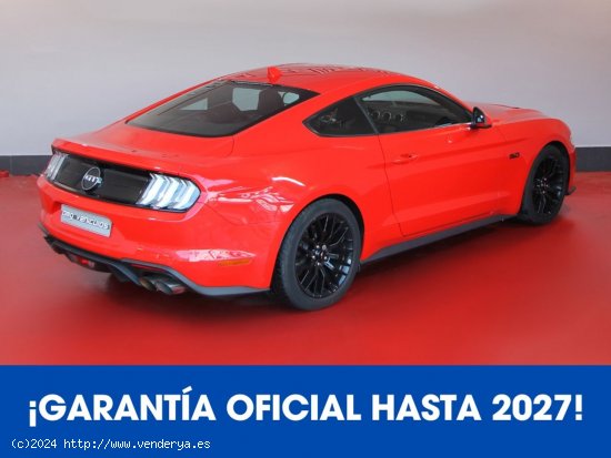 Ford Mustang 5.0 TiVCT V8 331KW Mustang GT AT Fastback 2p 450Cv - Rubí