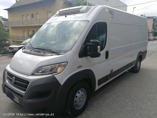 Fiat Ducato ducato maxi multijet frigorifico de congelacion,con thermografo fiat ducato maxi frigori