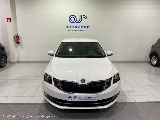 Skoda Octavia STYLE 1.6 TDI 115 CV 5P - Terrassa