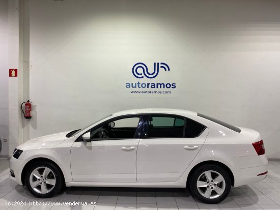 Skoda Octavia STYLE 1.6 TDI 115 CV 5P - Terrassa