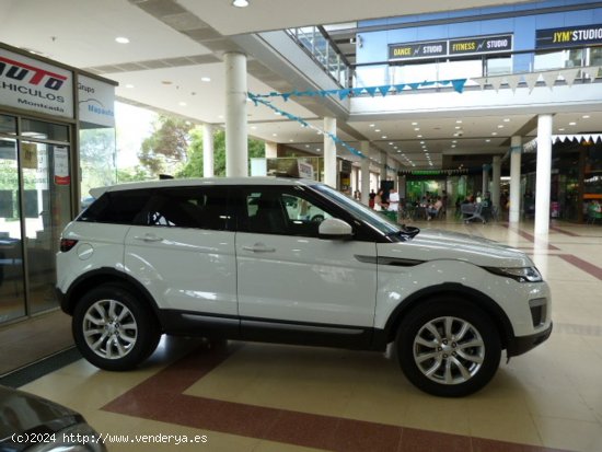 Land-Rover Range Rover Evoque Range Rover Evoque 2.0L eD4 Diesel 150CV 4x2 Pure 5p. un solo propieta