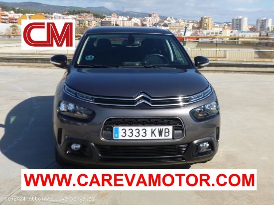 Citroën C4 Cactus BLUE HDI 100CV 5P - Mataró