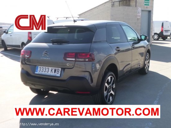 Citroën C4 Cactus BLUE HDI 100CV 5P - Mataró