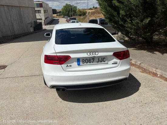 Audi A5 Sportback 2.0 TDI QUATTRO SLINE - Burgos