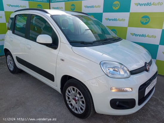 Fiat Panda LOUNGE 1.2 69 CV 5P - Santa Margalida